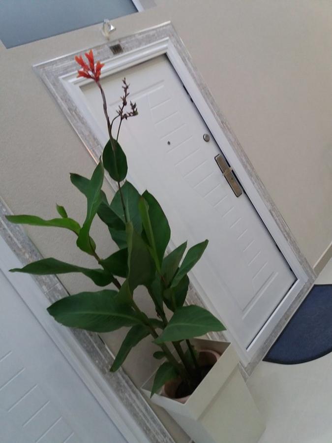 Atina Lux Hostel Λέσκοβατς Εξωτερικό φωτογραφία